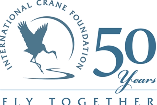 Saving Cranes Randa Celley